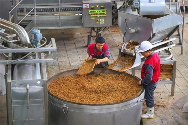 再登河北新春晚会，发起“年酒”攻势，老白干与您共度佳节