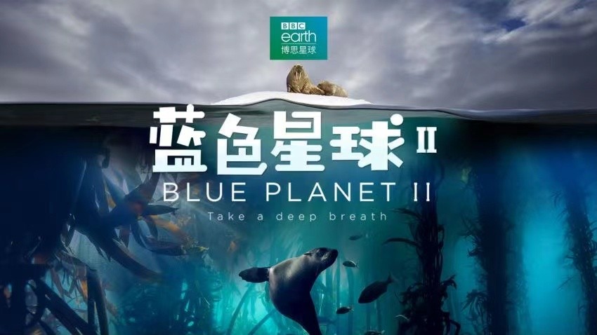 爱奇艺上线BBC纪录片专区 《蓝色星球II》等“年货”片单豪横来袭