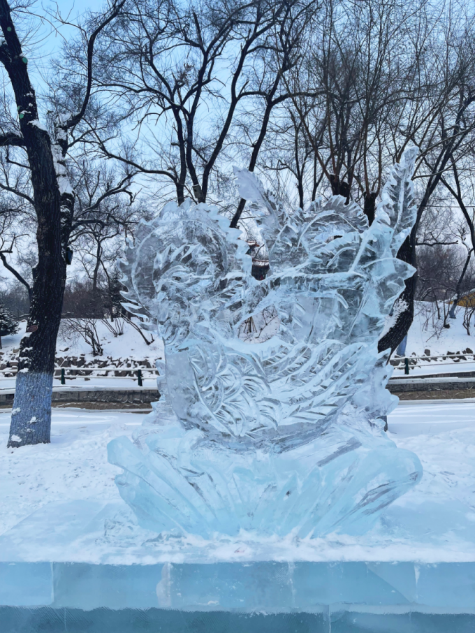 勇夺一等奖 — 哈尔滨华德学院再次闪耀第二十届黑龙江省大学生冰雕艺术设计创作大赛