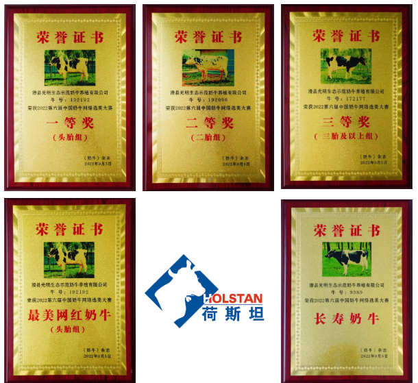 光明牧业在中国奶牛网络选美大赛大放异彩，斩获五项大奖