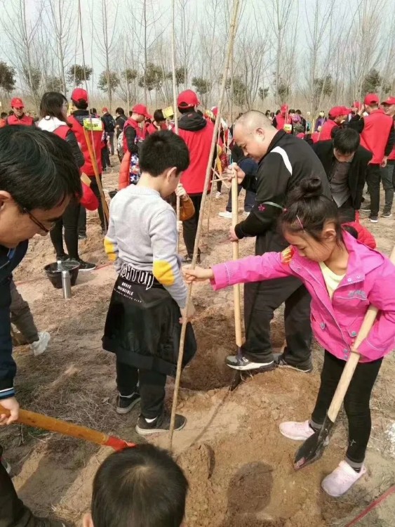 郑州2023年植树活动场地 位置  地点推荐