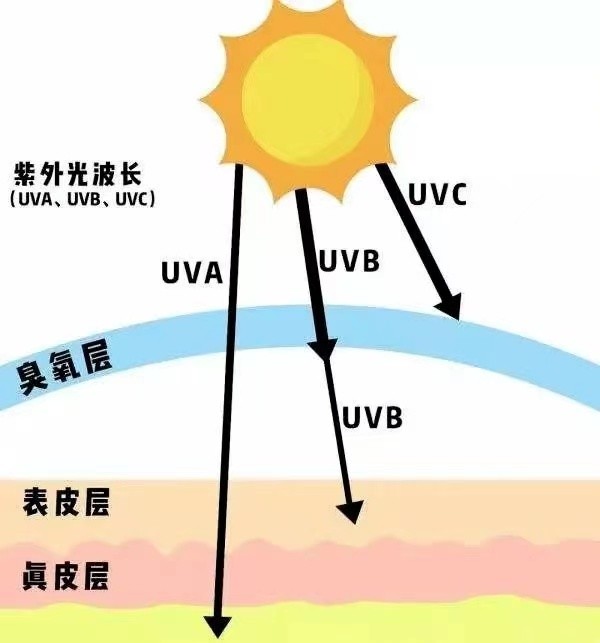 护肤专家刘庄彬的斑点专业解析(图2)