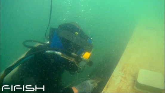 “海底长城”及其背后的智慧——鳍源科技为深中通道合龙提供助力