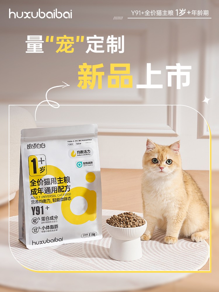 胡须白白Y91+全价猫主粮新品来袭，呵护猫咪健康营养成长