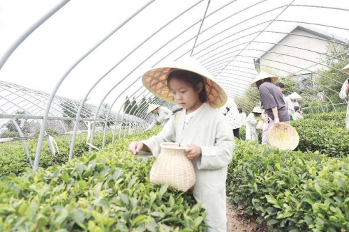 富德生命人寿青岛分公司 “乘风·著未来”夏季客户服务活动成功举办