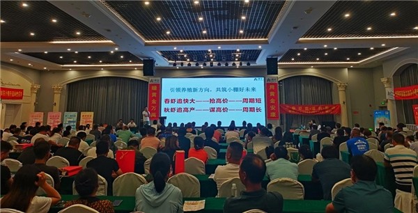 聚势赋能，共赢未来！澳华集团南通如东小棚虾养殖峰会启航盛典圆满举办