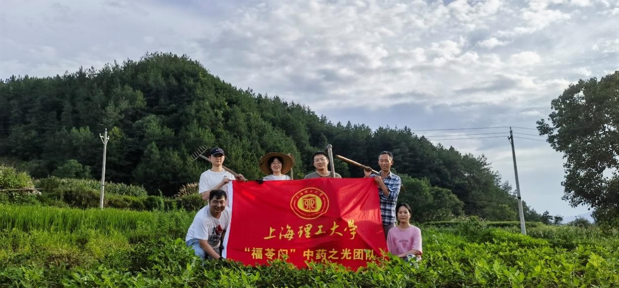 守正创新，上海理工大学“中药之光”团队推动中药材种植业提质增效，助力乡村振兴