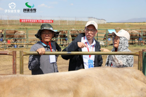 新疆褐牛产业大会完美落幕